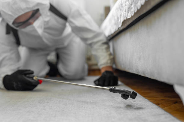 Professional Ant Control technician working in Tehaleh, WA