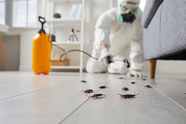 Trusted Rodent Control service in Tehaleh, WA - Nex Pest Control